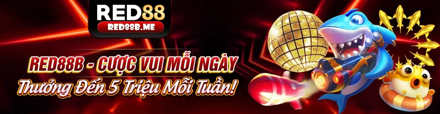 Dịch vụ hỗ trợ khách hàng VIP