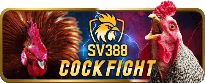 Hỗ trợ khách hàng về chính sách cookie red888 code